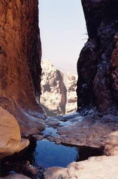 The Window