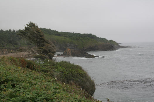 Along the coast