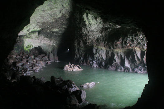 Sea Lion Cave